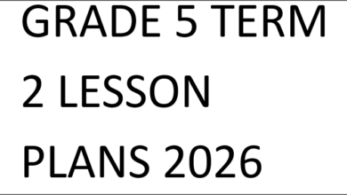 GRADE 5 TERM 2 LESSON PLANS 2026