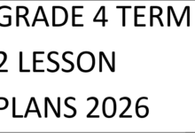 GRADE 4 TERM 2 LESSON PLANS 2026