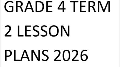 GRADE 4 TERM 2 LESSON PLANS 2026