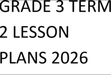 GRADE 3 TERM 2 LESSON PLANS 2026