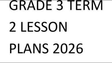 GRADE 3 TERM 2 LESSON PLANS 2026