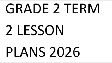 GRADE 2 TERM 2 LESSON PLANS 2026