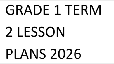 GRADE 1 TERM 2 LESSON PLANS 2026