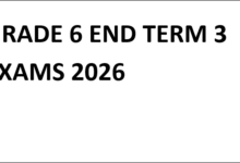 GRADE 6 END TERM 3 EXAMS 2026