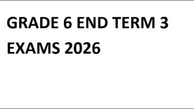 GRADE 6 END TERM 3 EXAMS 2026