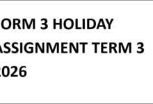 FORM 3 HOLIDAY ASSIGNMENT TERM 3 2026